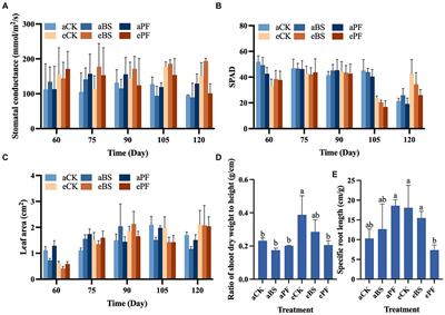 Plant growth-promoting rhizobacteria enhance active ingredient accumulation in medicinal plants at elevated CO2 and are associated with indigenous microbiome